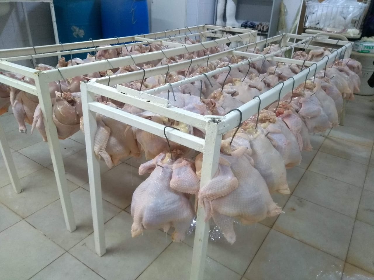 Producción animal