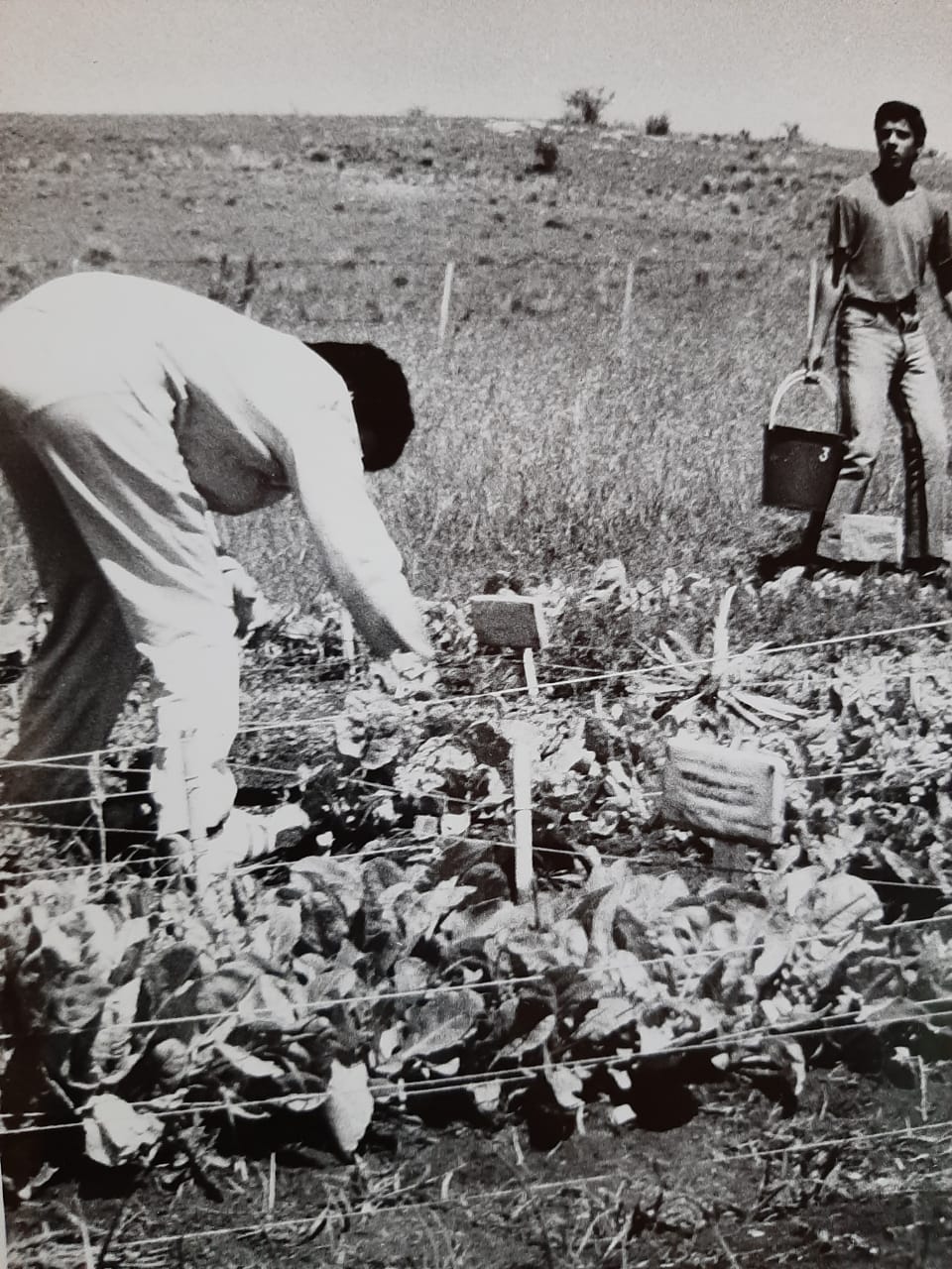 Fotografía histórica de la escuela