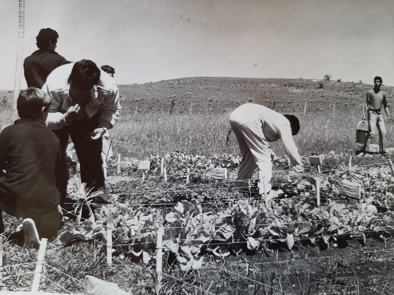 Fotografía histórica de la escuela