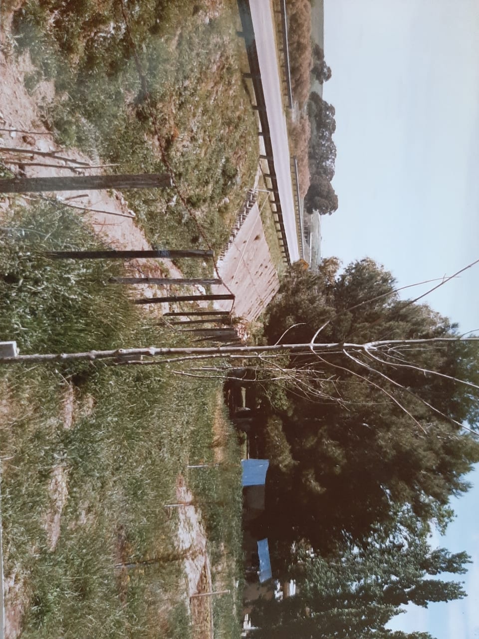 Fotografía histórica de la escuela