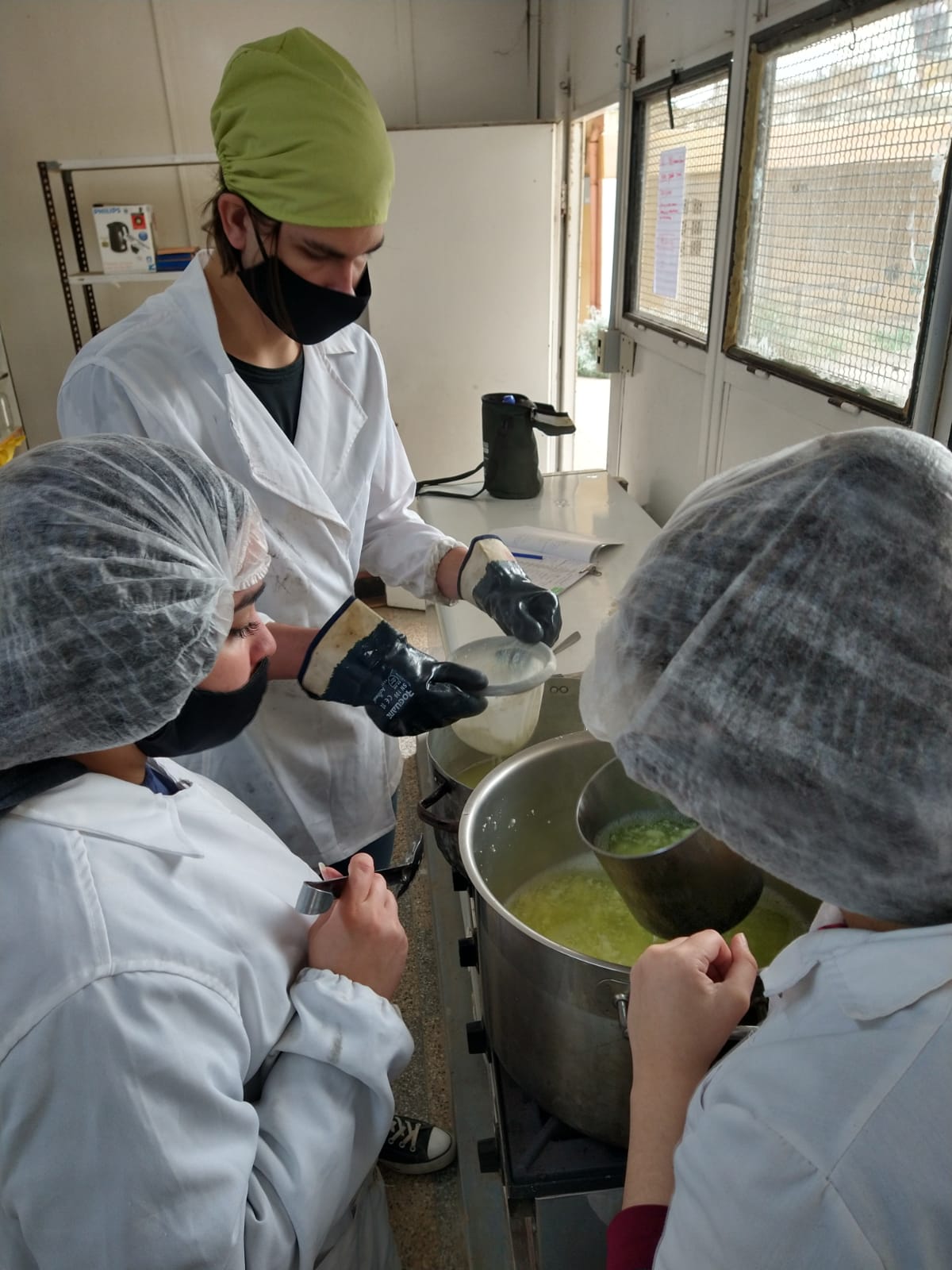 Producción vegetal