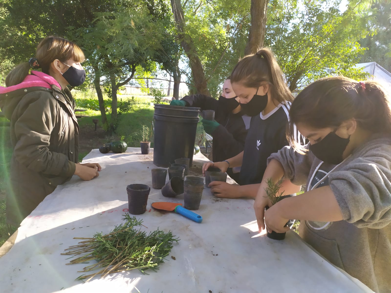 Producción vegetal