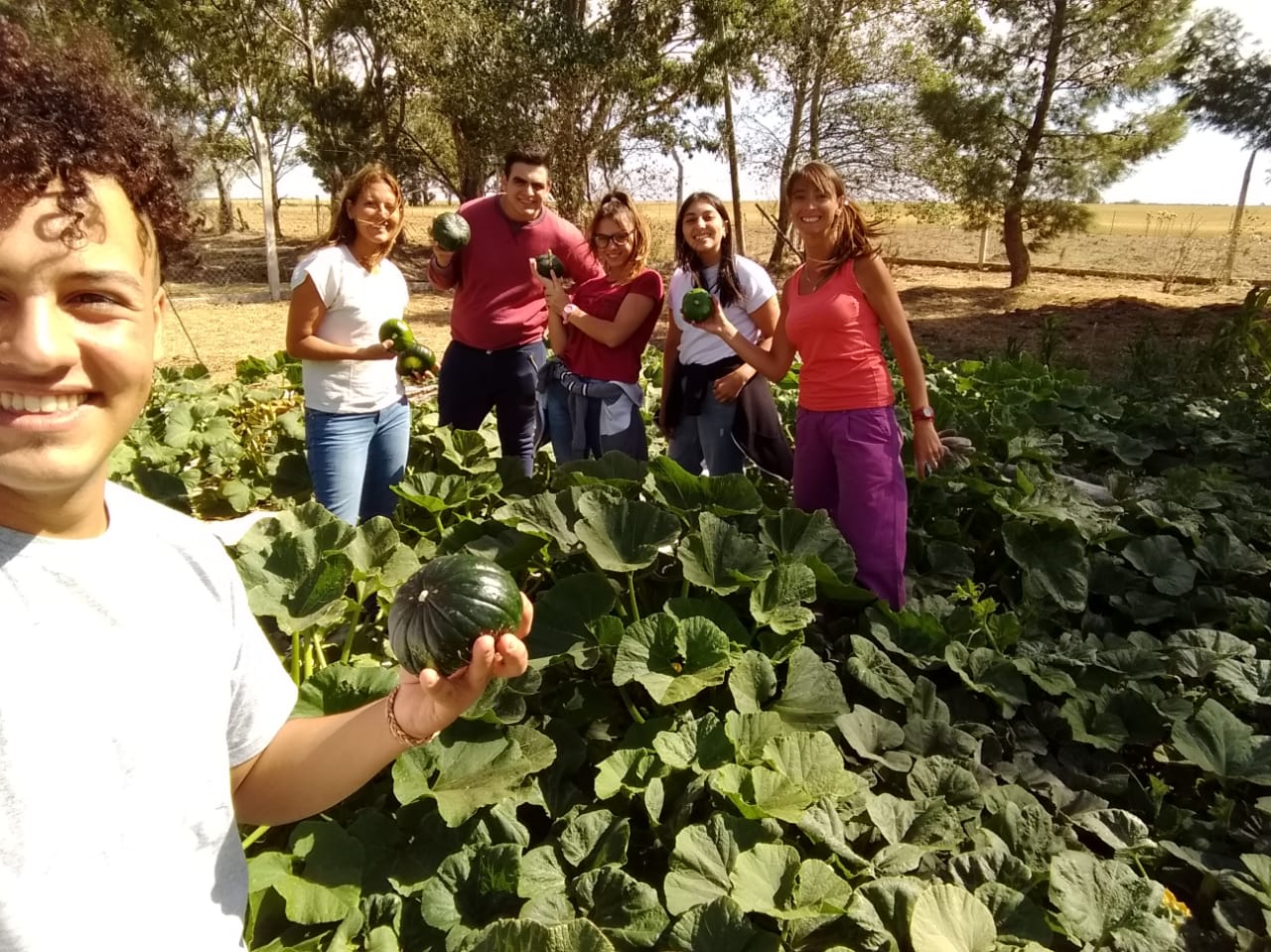 Producción vegetal